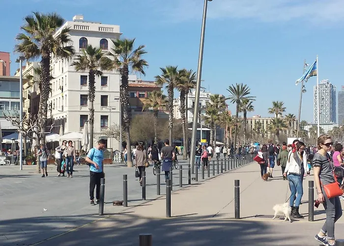 Aapartments In City Center Barcellona